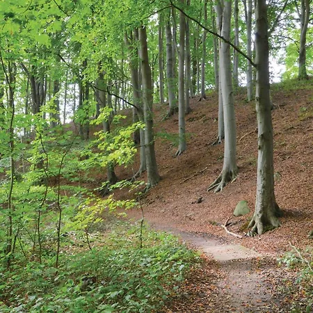 Stunning In With Wifi Kruså