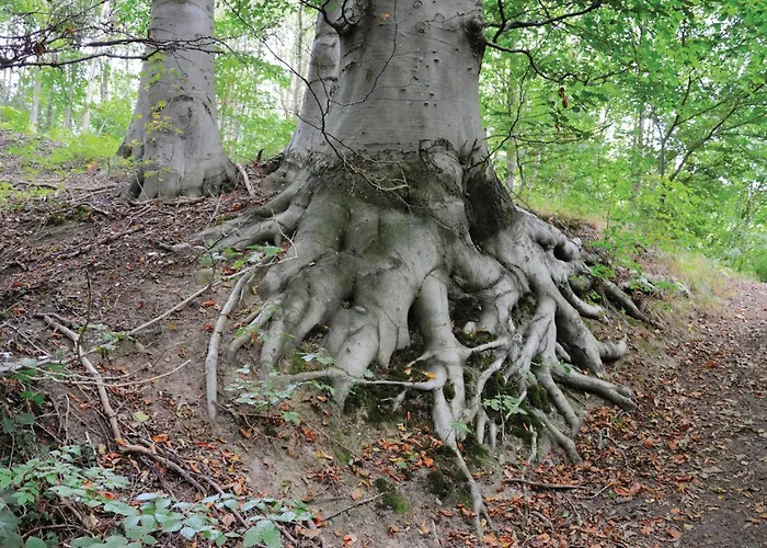 Stunning In With Wifi *