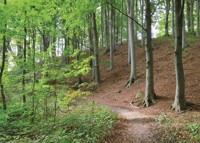 Stunning In With Wifi Kruså