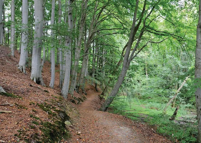 Stunning In With Wifi Feriehus *